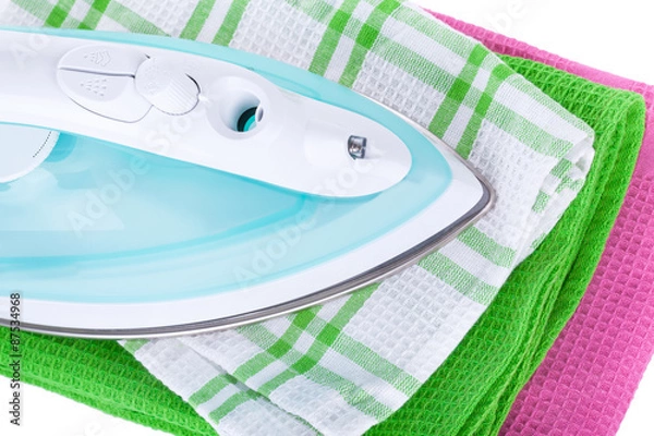 Obraz Electric iron and clothes