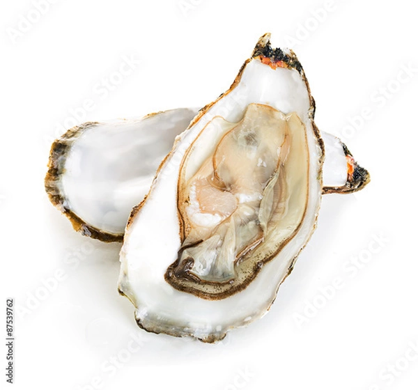 Obraz Ostrygi na białym tle na białym tle