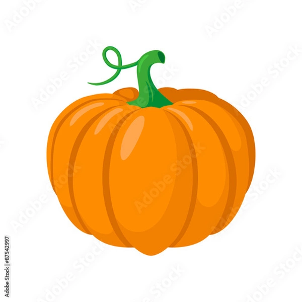 Obraz Warzywo dyniowe.