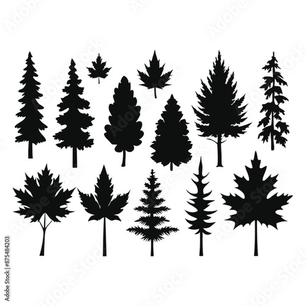 Fototapeta various deciduous trees silhouettes on a white background isolated from any distractions 
