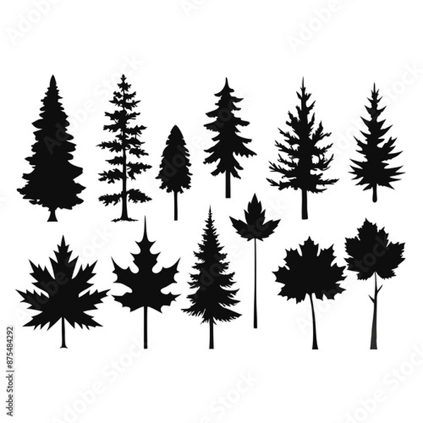 Fototapeta various maple field leaf silhouettes on a white background isolated 
