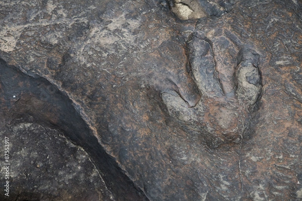 Obraz dinosaur footprints