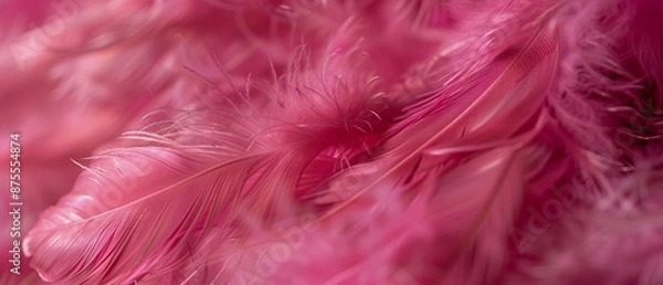 Fototapeta Soft pastel feathers with abstract patterns and light texture in a luxury design