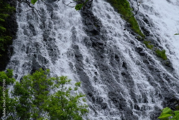 Fototapeta オシンコシンの滝