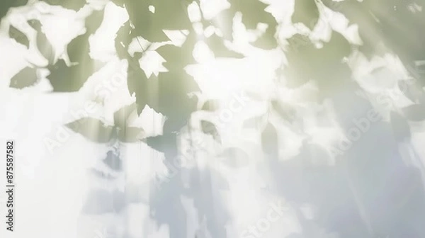 Fototapeta Leaf Shadows on White Surface.