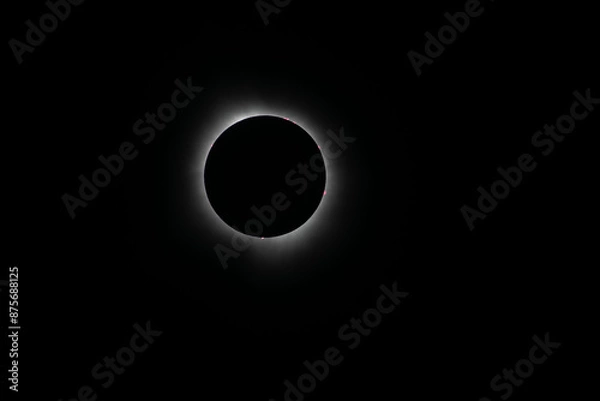Fototapeta Corona surrounding the total eclipse with sun spots around the moon