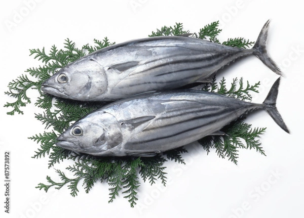 Fototapeta 2 katsuko