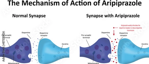 Fototapeta Aripiprazole