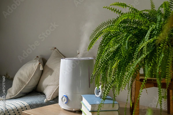 Fototapeta Close up of modern air humidifier. Humidification for cultivation of house plants. The steam from the air humidifier in the room. Plant care. Humidification of air in apartment during heating period.