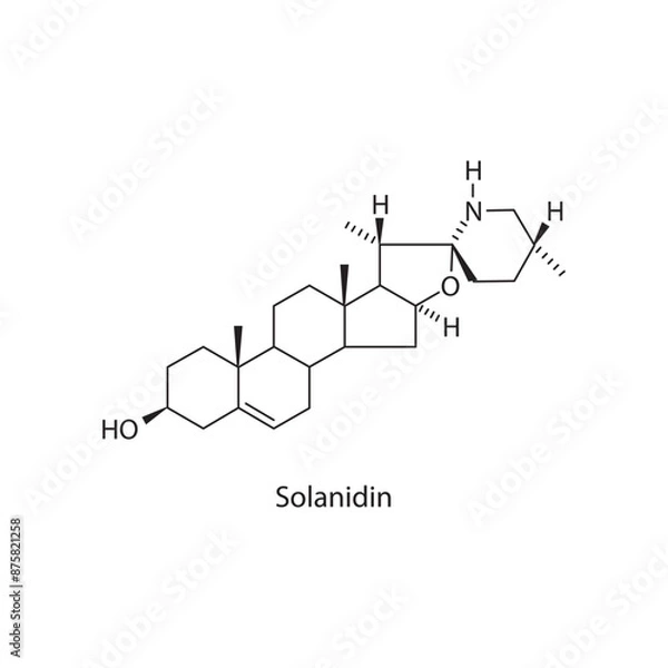 Fototapeta artboard temp