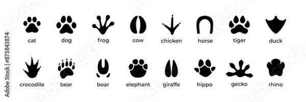 Obraz a collection of various kinds of animal footprints
