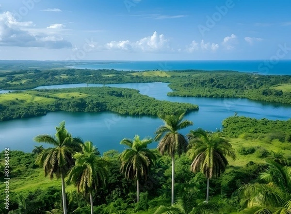 Fototapeta Aerial View of Tropical Lagoon with Palm Trees and Ocean in the Background