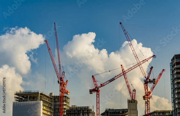 Obraz Cranes on the sky