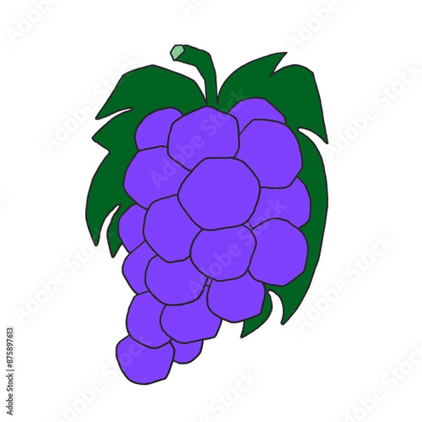 Fototapeta Vector illustration of a bunch of purple grapes