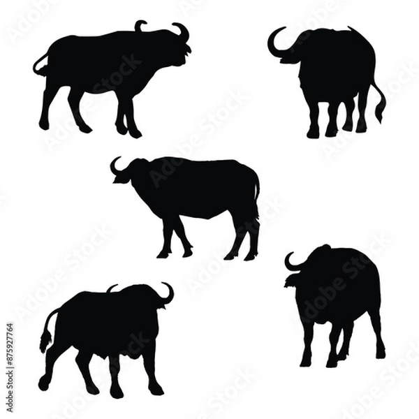 Obraz Set of Buffalo Silhouette Vector Illustration 