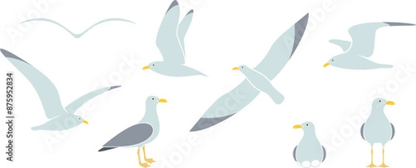 Obraz Seagull logo. Isolated seagull on white background. Bird