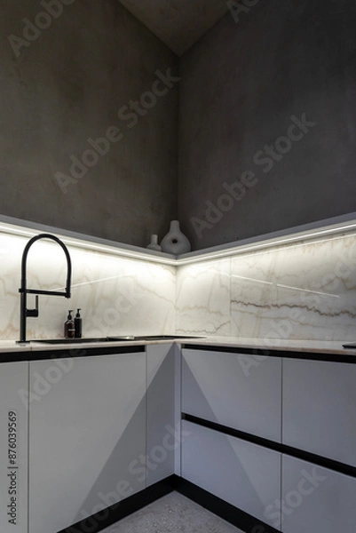 Obraz Kitchen in a villa in minimalism and loft style