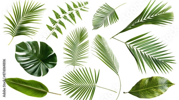 Fototapeta set of green leaves isolated png transparent background