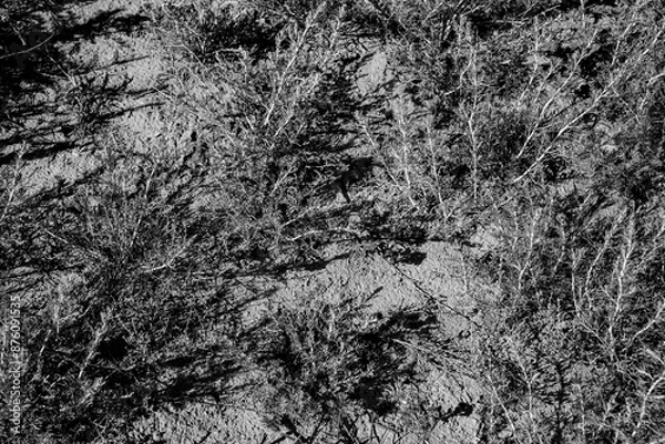 Obraz Выжженная земля