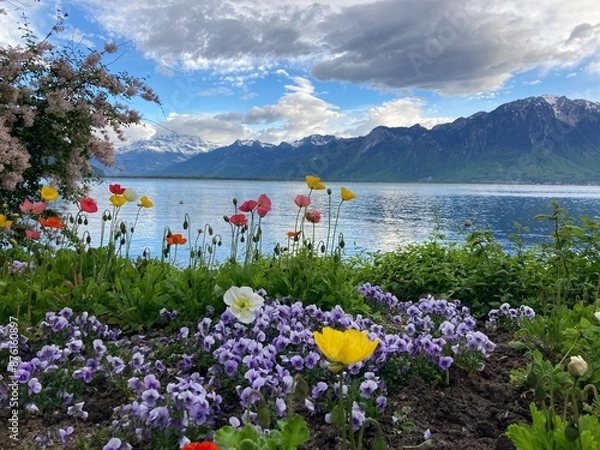 Obraz Montreux lake promenade landscape with flowers, lake and mountains