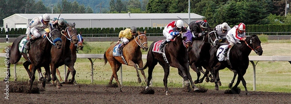 Fototapeta win place show