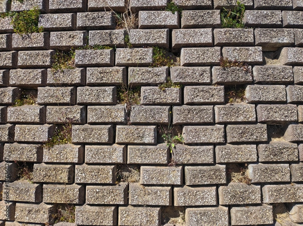 Fototapeta Close-up of a textured brick wall with small plants growing between the cracks