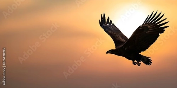 Obraz Majestic eagle silhouette soaring in the dusk sky symbolizing freedom and power. Concept Wildlife, Eagle, Silhouette, Dusk Sky, Freedom