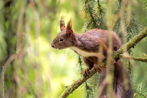 Fototapeta OLYMPUS DIGITAL CAMERA