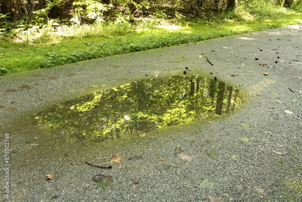 Obraz Puddle on the Road