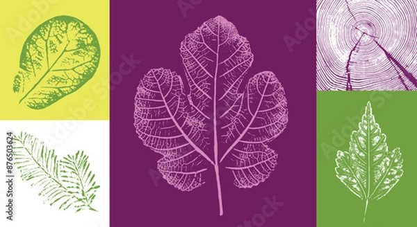 Fototapeta Fig leaves design illustration with stamp effect. Botanical print with end grain tree rings and colorful patterns.