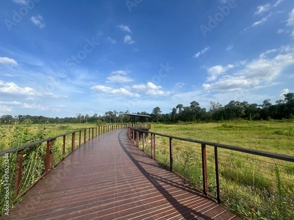 Obraz Texas Summer Landscape