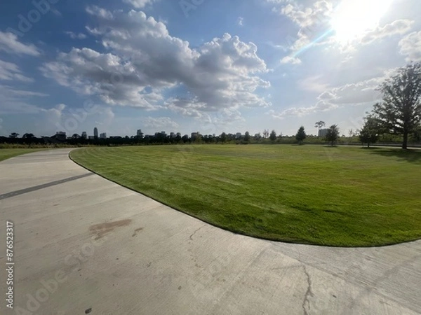 Obraz Texas Summer Park