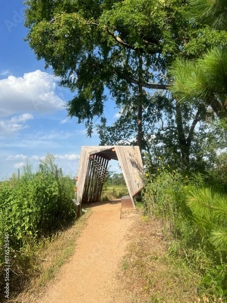 Obraz Tunnel in the park