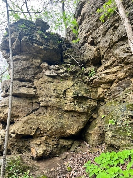 Obraz Rock in the forest