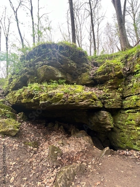 Obraz Rock in the forest