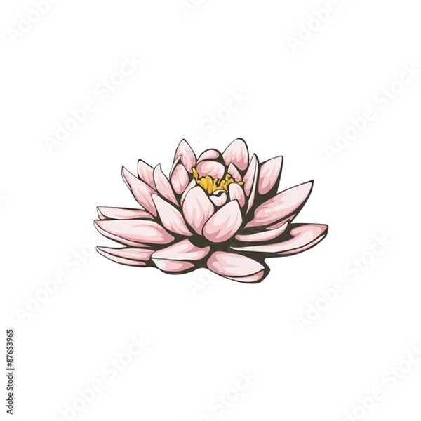 Obraz Vector lotus flower.
