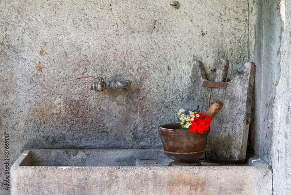Obraz Old sink with mortar and geranium