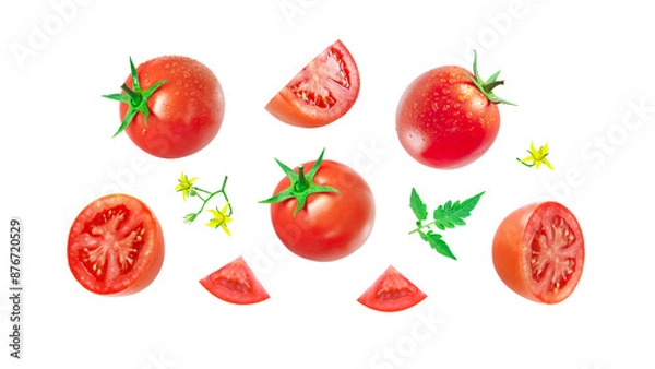 Obraz Group tomato has water drop with slices and flower isolated on white background , clipping path.