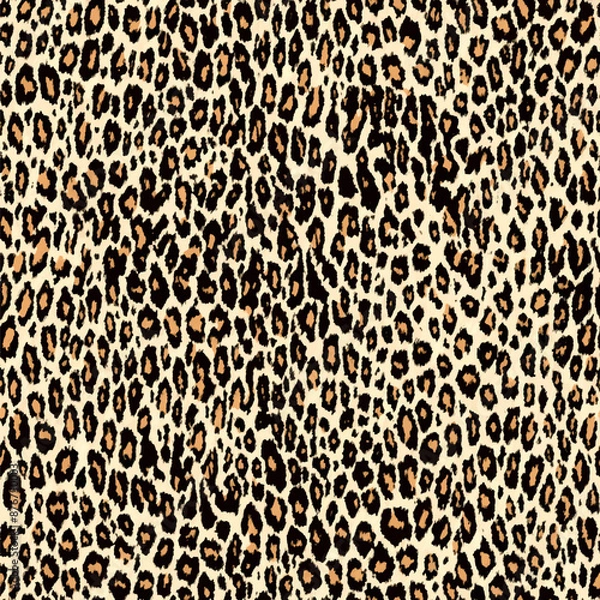 Obraz leopar 13.eps