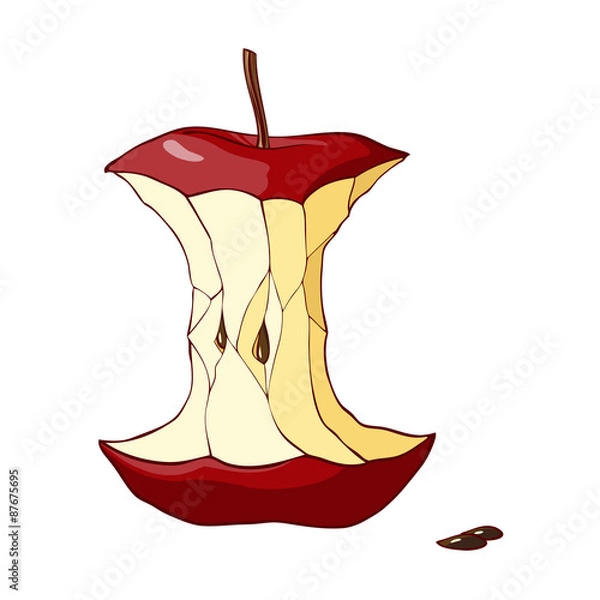 Obraz Red apple core. Vector illustration.