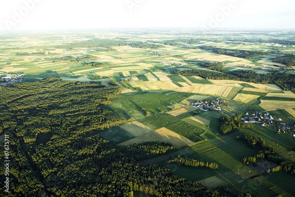 Obraz Summer landscape with and blue sky