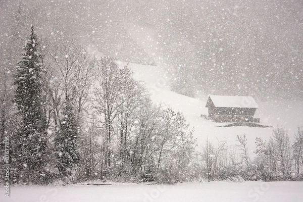 Obraz Snowfall in Switzerland