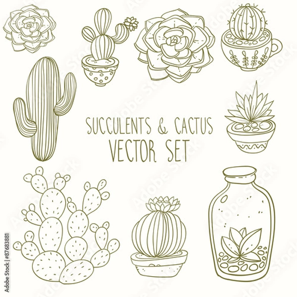 Obraz Succulents and cactus vector handpainted set