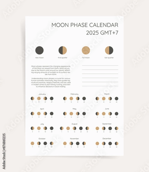 Fototapeta Lunar phases calendar, lunar monthly cycle planner for 2025 year template. Astrology organizer of whole cycle from new to full moon calendar. Vector printable poster for southern time zone