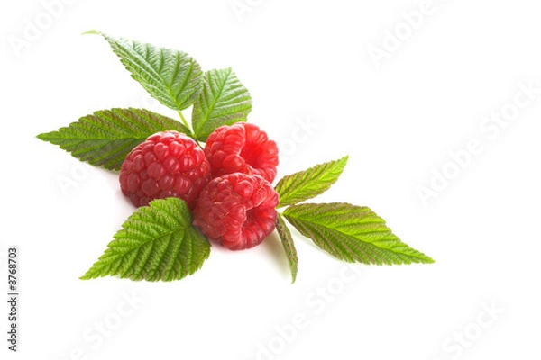 Obraz Red raspberry isolated