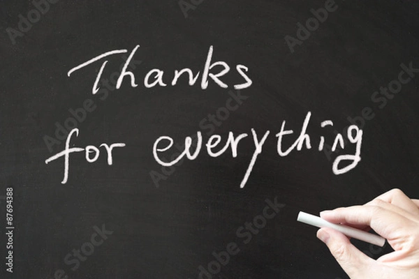 Obraz Thanks for everything