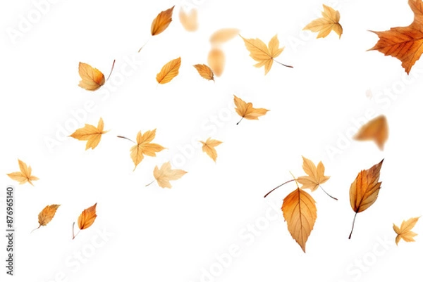 Fototapeta Golden Autumn Leaves Dancing in the Wind on a White or Clear Surface PNG Transparent Background