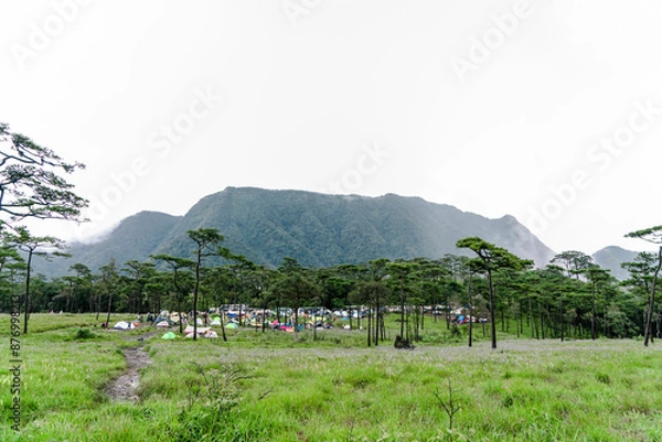 Obraz Camping tents with the mist at Phu Soi Dao national park ,Thailand