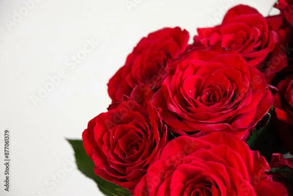 Fototapeta 赤いばら