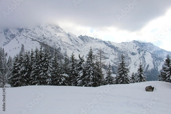 Obraz Schneelandschaft